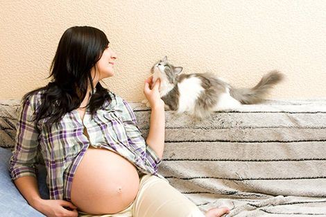 pregnancy