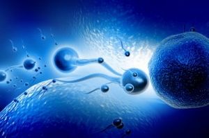 Sperm-300x199